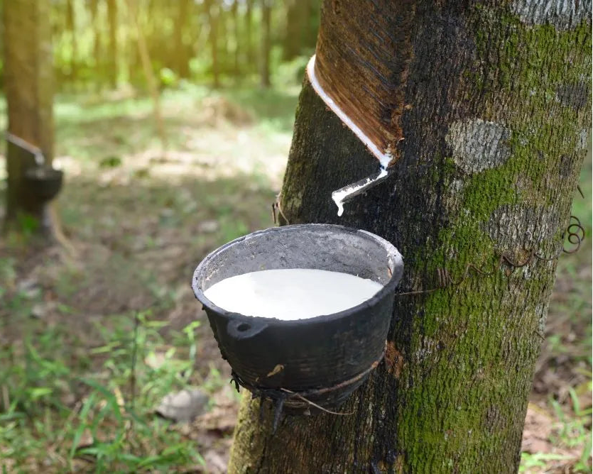 <strong>Natural Anti-microbial Protection</strong>