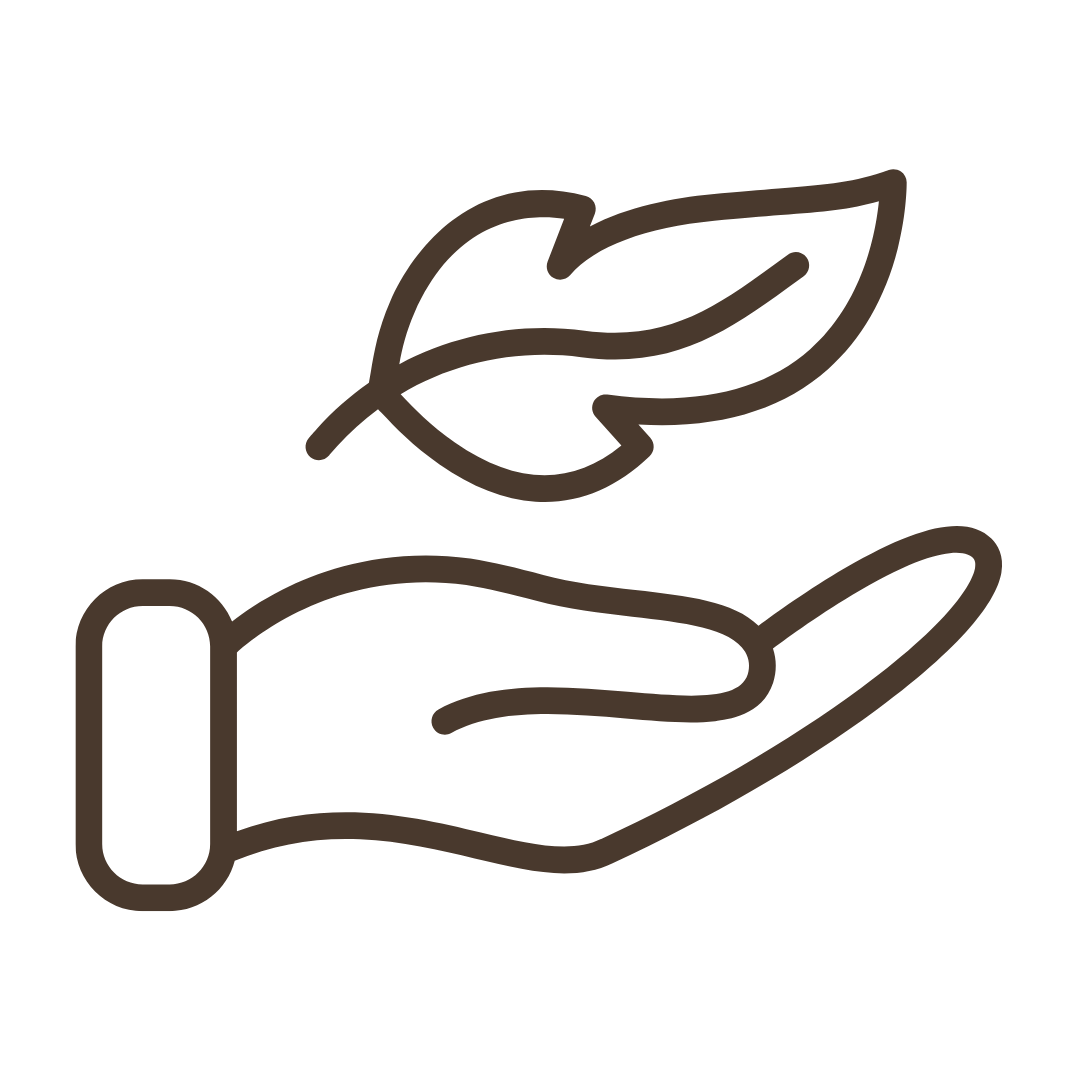 Line drawing of a hand holding a leaf on a white background