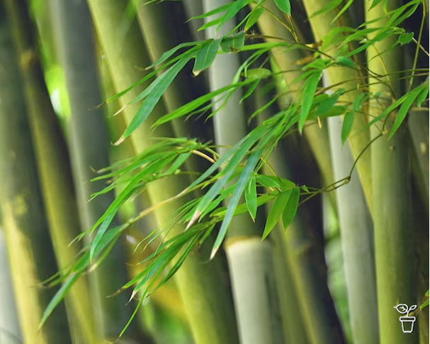 <strong>Bamboo fabric surface material, soft and extremely durable. </strong>